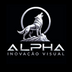 Alpha - Inovação Visual – Início