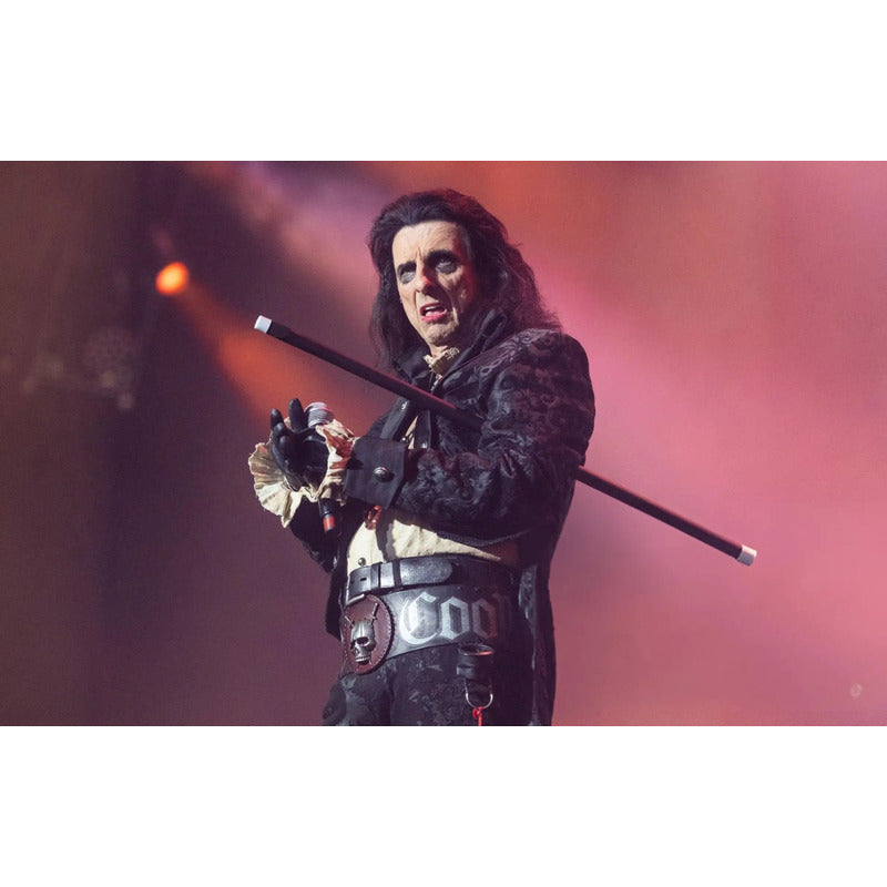 Adesivo Alice Cooper  O Rock Na Veia Na Sua Parede