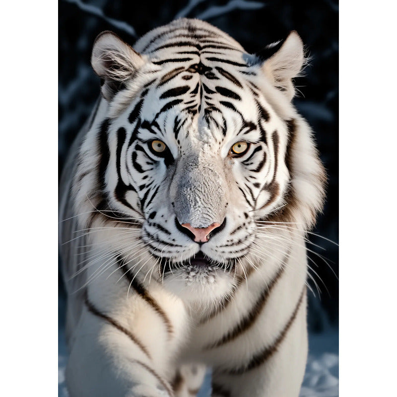 Adesivo Papel De Parede Tigre Branco 70x50 Alta Resolução Tigre Branco