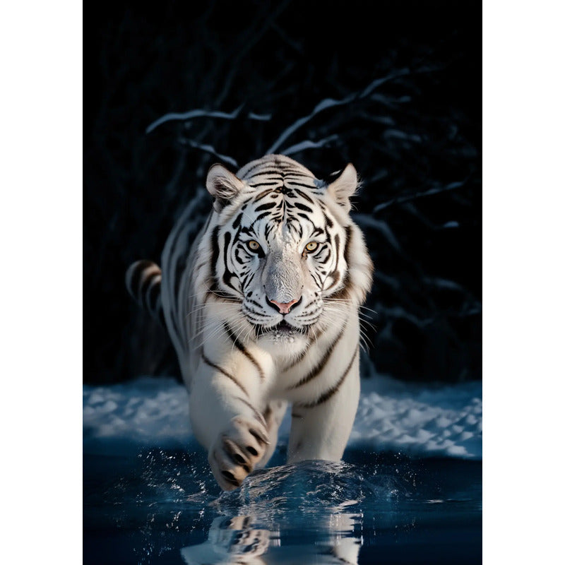 Adesivo Papel De Parede Tigre Branco 70x50 Alta Resolução Tigre Branco