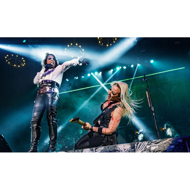 Adesivo Alice Cooper  O Rock Na Veia Na Sua Parede