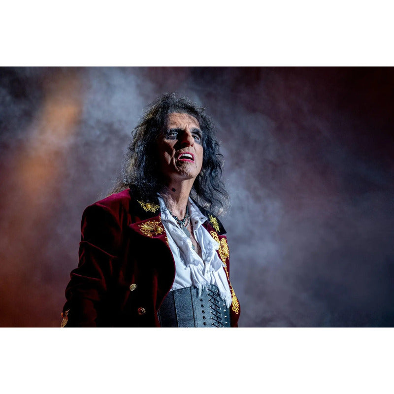 Adesivo Alice Cooper  O Rock Na Veia Na Sua Parede
